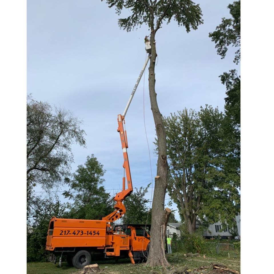 Ruff'N' Tuff Tree Service