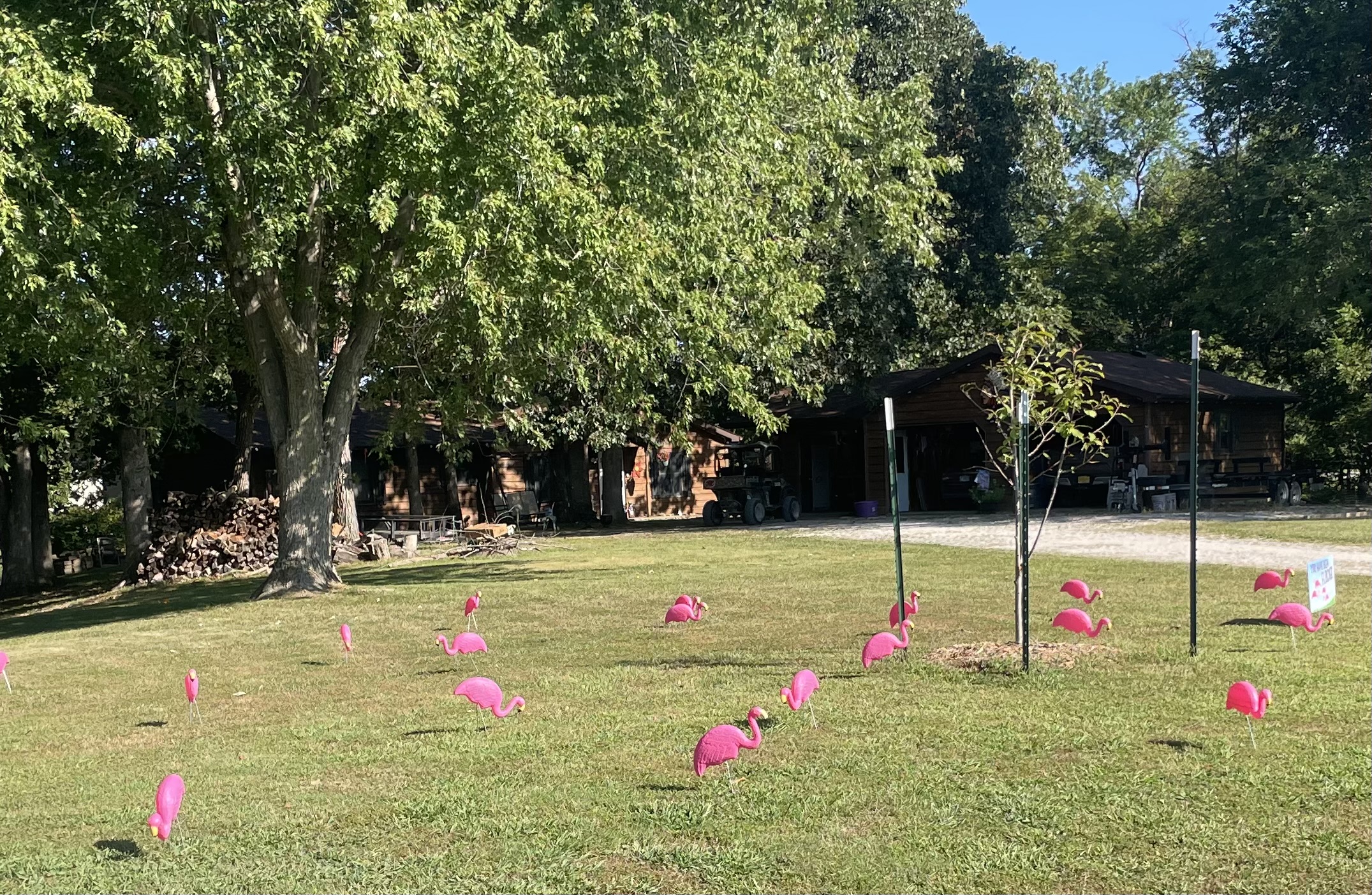 We got flocked!